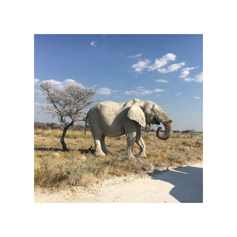 3x nej Afriky a relax na Zanzibaru komfortněji JAR, Zimbabwe, Botswana